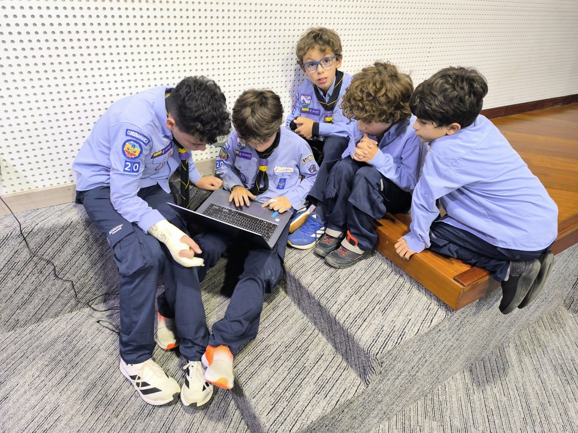 Cinco lobatos reunidos alrededor de un computador portátil